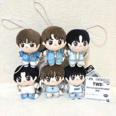 TWS From PLEDIS ENTERTAINMENT ほわぬい 6種セット TWS From PLEDIS ENTERTAINMENT ほわぬい 6種セット - メルカリ