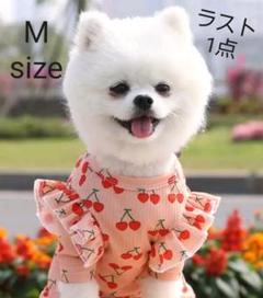 犬服 ドッグウェアの中古 未使用品 メルカリ