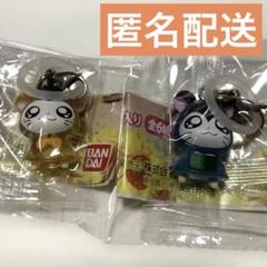 【24時間以内発送】とっとこハム太郎　めじるしアクセサリー　☆ 2個セット