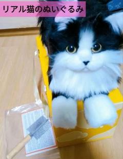 ぬいぐるみ リアル 本物そっくり ハンドメイド やさしい手触り，可愛く癒しネコ