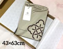 Bioweaves 100% オーガニックコットン　枕カバーセット サンド