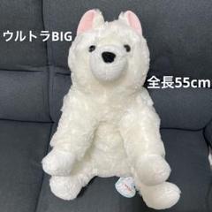 ★新品未使用品★くったりサモエドくん　ウルトラBIG ぬいぐるみ　オフホワイト
