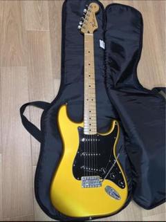 Fender Mexico Stratocaster おまけ付き