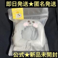 RIIZE ライズ　ペンコン　ソウルコン ペンライトカバー　ドール　ウンソク