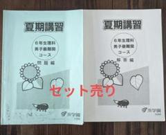 本日のみ❕❕【最新版】浜学園　小６　夏期講習　男女難関　３教科セット 浜学園小6 男子最難関コース 日曜志望校特訓 7月8月 復習