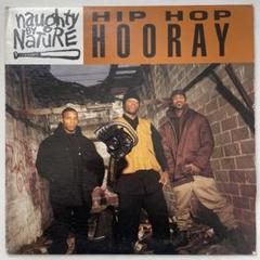 2025年最新】naughty by nature レコードの人気アイテム - メルカリ