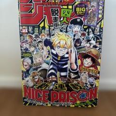 【切り抜きなし】週刊少年ジャンプ 21号　2025年
