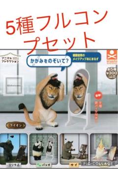 朝隈俊男猫のくらし & パンダ猫限定コレクションBOX