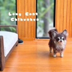 【羊毛フェルト ☆ ロングコートチワワ 犬 】ドールハウス ミニチュア