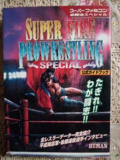 2025年最新】スーパーファイヤープロレスリングスペシャル の