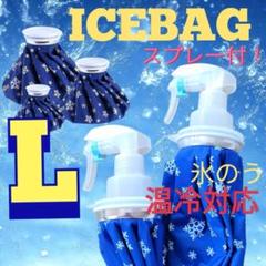 氷のう アイスバック スプレー付き L 温冷対応 涼しい 熱中症 ミスト