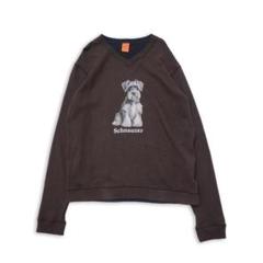 古着 シュナウザーー スウェット ブラウン サイズL*ST249