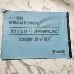 撃て　飛べ　韻文　小6国語 日曜志望校特訓 7月~12月　灘中　浜学園　灘合