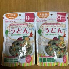 大容量160g 9ヶ月 赤ちゃんうどん 国産8種の野菜ミックス　２個　離乳食