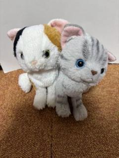 2025年最新】ねこ猫ぬいぐるみの人気アイテム - メルカリ