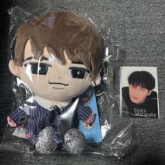 スノーマン 渡辺翔太 すのチル　BIG ぬいぐるみ チラ見カード 渡辺翔太】すのチルぶら下がらないシリーズ（BIGぬいぐるみver