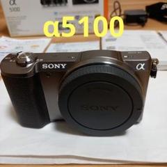 SONY α5100 ブラウン 本体 シャッター回数920 SONY α5100 ブラウン 本体 シャッター回数920 - メルカリ