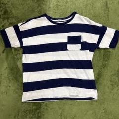 LACOSTE ラコステ　ボーダー t シャツ 40サイズ(Mサイズ相当)