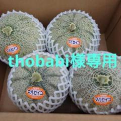 ①thobabi様専用 長崎産赤肉マルセイユメロン‼️(ちょっと訳あり