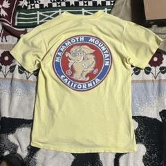 70s usa製 ヘインズ ヴィンテージ Tシャツ ぞう 70年代コーデ ピチ