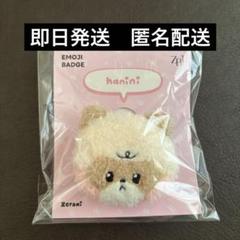 popup zb1 zeroni バッジ ぬいぐるみ ジャンハオ ハニニ - メルカリ