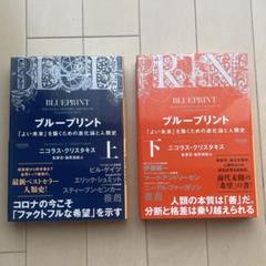 ブループリント 「よい未来」を築くための進化論と人類史 上 下 初版