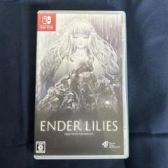 2025年最新】ENDER LILIES: Quietus of the Knights - Switch