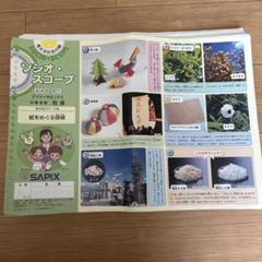 【4年 理科社会】サピックス 平常+講習テキスト フルセット 欠番なし SAPIX4年社会平日テキスト1年分欠番なし2025受験組 - メルカリ