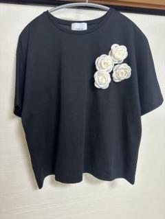 POWAN | OHGA
