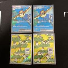 ピジョット SAR ポッポ　AR 各2枚