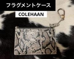 コールハーン　フラグメントケース　パイソン　牛革蛇柄