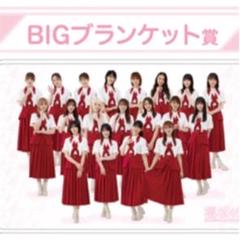 【希少、新品未開封】 欅坂　ロゴ ブランケット　初期 公式グッズ　タオル 櫻坂 希少、新品未開封】 欅坂ロゴ ブランケット初期 公式グッズ