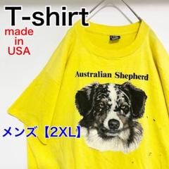 YAZ46【USA製】SCREEN STARS BEST　Tシャツ【2XL】黄色
