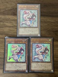 エラー ネーム 遊戯王 英語 妖精伝姫ーカグヤ シークレット エラー ネーム 遊戯王 英語 妖精伝姫ーカグヤ シークレット