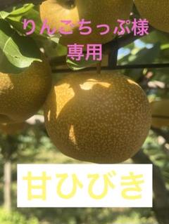 ⚠️あお⚠️茨城県産　梨/甘ひびき　秀品/5キロ 数量限定！ ⚠️りんごちっぷ様専用⚠️ 茨城県産 梨/甘ひびき 秀品/3キロ