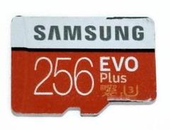 Samsung サムソン 256GB SDカード switch スイッチ