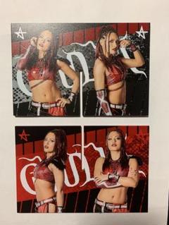女子プロレス　マリーゴールド　トレーディングカード　ジュリア　トレカ　WWE 女子プロレス マリーゴールド トレーディングカード ジュリア