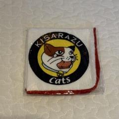 木更津キャッツアイ　KISARAZU cats タオル