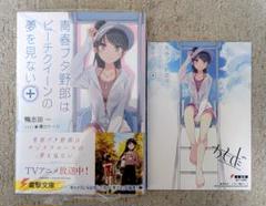 青春ブタ野郎シリーズ ポスター 非売品 販売促進 販促 特典 青ブタ サイン会 青春ブタ野郎』シリーズ・サイン会＠湘南藤沢 当選番号発表！（6