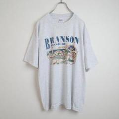 【USA製・霜降り】Tシャツ 古着 Lサイズ ブランソン 希少