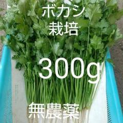ボカシ栽培の無農薬パクチー300g