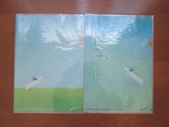 葉祥明 ジェイクと紙ひこうき2つセット(バラ売り可) 30角サイズ
