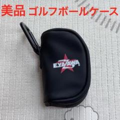 ⭐︎未使用⭐︎矢沢永吉 E.YAZAWA レザーマルチケース ロゴ