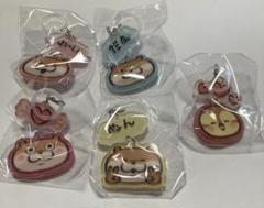 可愛い嘘のカワウソ めじるしチャーム コンプリートセット