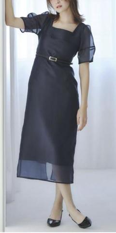 dazzlin 【藤井サチコラボ】レイヤードシアーフォルムドレス