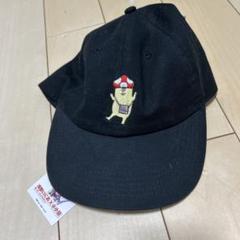 廃盤　新品【入手困難】イソベやん　バッテンうさぎ 浅野いにお　ぬいぐるみ　コンプ 公式】ヴィレッジヴァンガード on X: 
