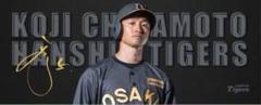 TIGERS B-LUCK DYNAMITE SERIES近本光司 タオル