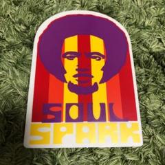 ハワイ Hawaii ⭐︎ スパーク ⭐︎ SPARK ⭐︎ ステッカー