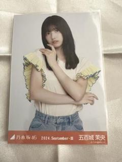 乃木坂46 五百城茉央 生写真 アニマルルームウェア コンプ 五百城茉央乃木坂46 生写真アニマルルームウェアコンプ