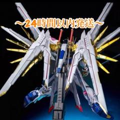 MG 1/100 ストライクフリーダムガンダム 完成品 ジャンク